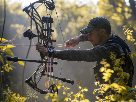 How to Choose Your Compound Bow For Hunting
