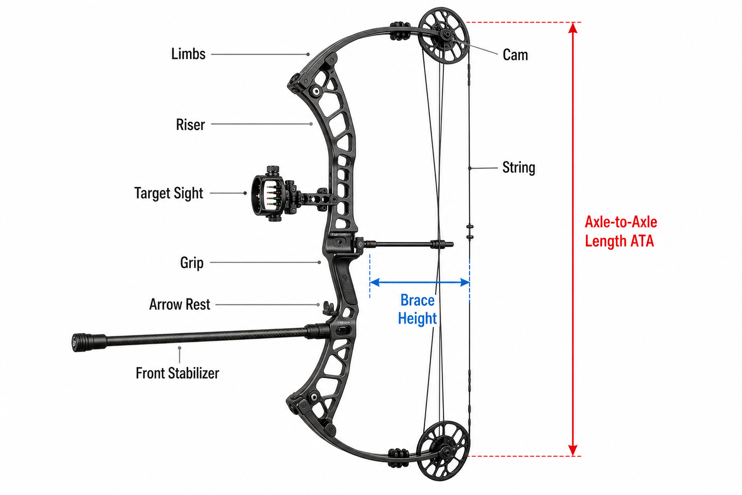 how to buy a target compound bow