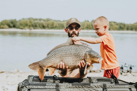 Bowfishing for Beginners: Gear, Techniques, and Top Species in the US