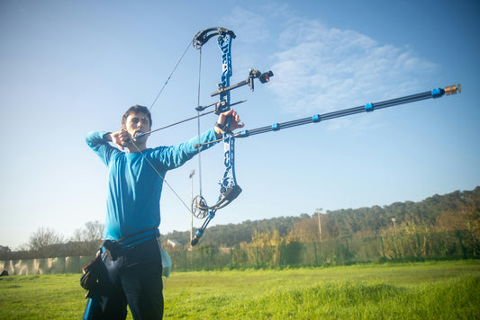 Hoyt vs. Mathews: In‐Depth Comparison for 3D and Hunting