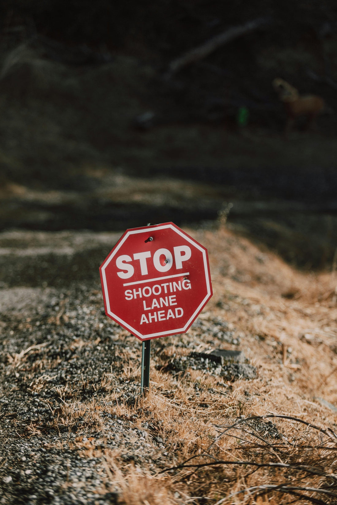 Public vs. Private Land: A US Bowhunter’s Guide to Finding Great Hunting Spots