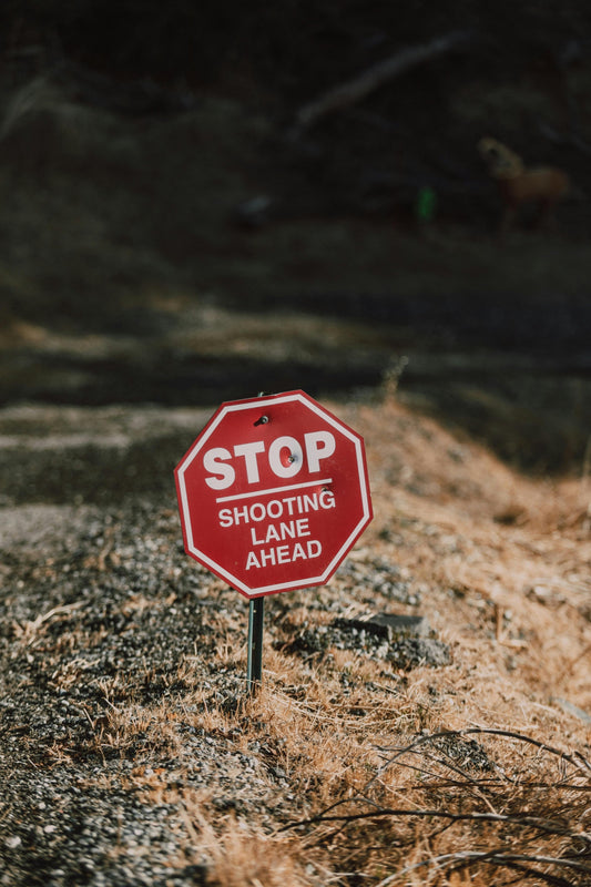 Public vs. Private Land: A US Bowhunter’s Guide to Finding Great Hunting Spots