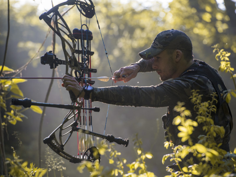 How to Choose Your Compound Bow For Hunting