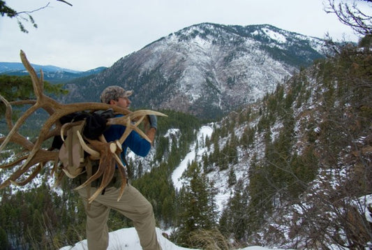 6 Simple Ways To Excel in Shed Hunting