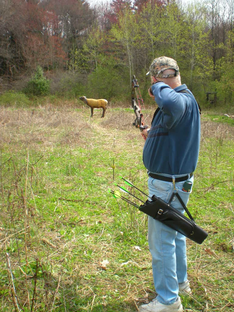 7 Crucial Tips You Must Know in 3D Archery Competition