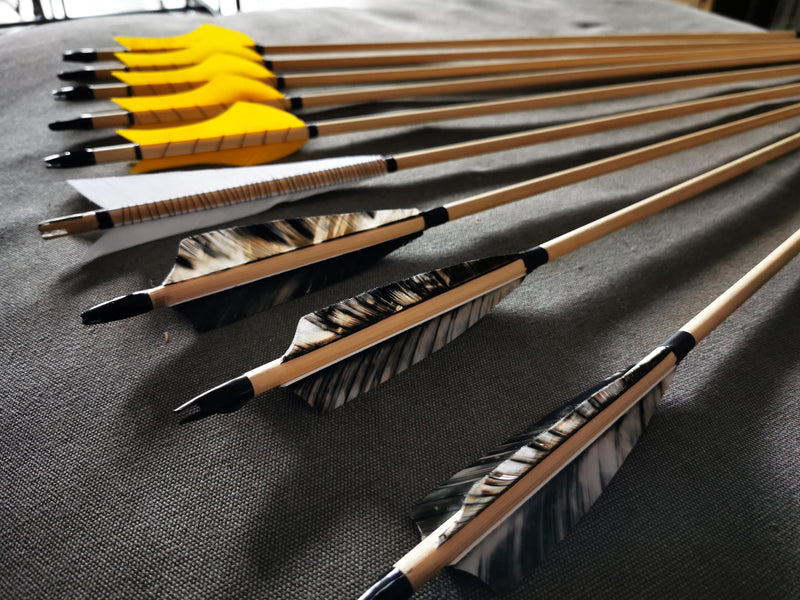 Choosing The Right Arrow Vanes For A Compound Bow