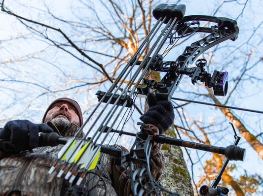 4 Essential Advices Before Buying a Bow