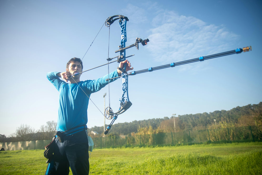 Hoyt vs. Mathews: In‐Depth Comparison for 3D and Hunting