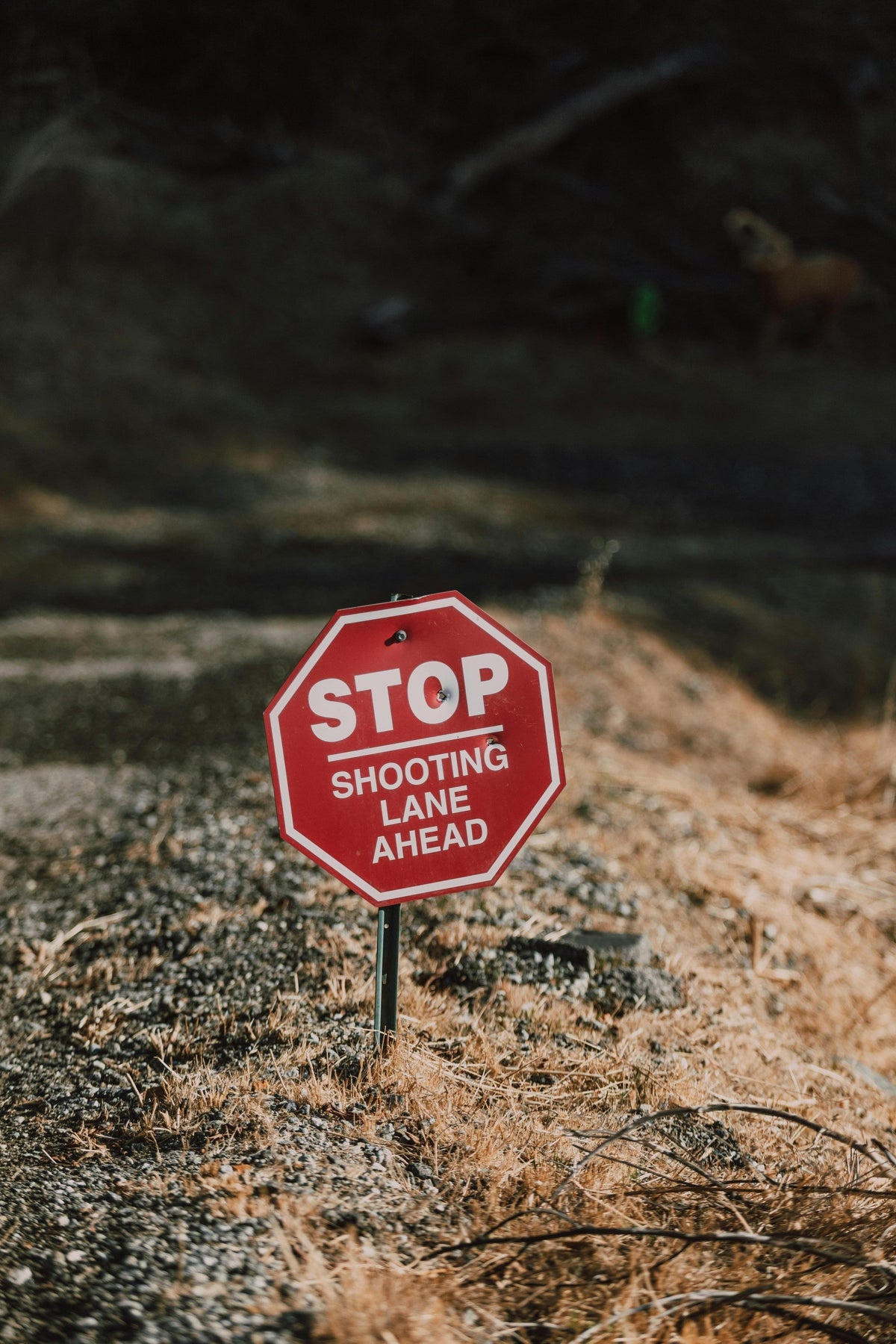 Public vs. Private Land: A US Bowhunter’s Guide to Finding Great Hunting Spots