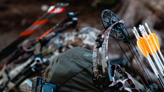How to Store a Bow and Your Archery Gear